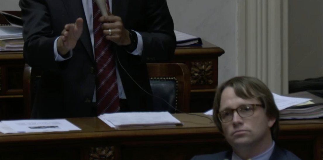 What is Weezer doing in the S.C. Senate?