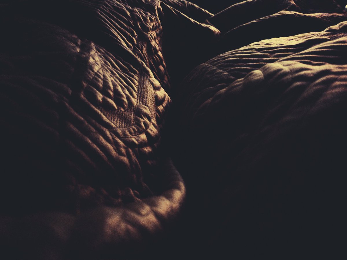 Barry Madden tweet media