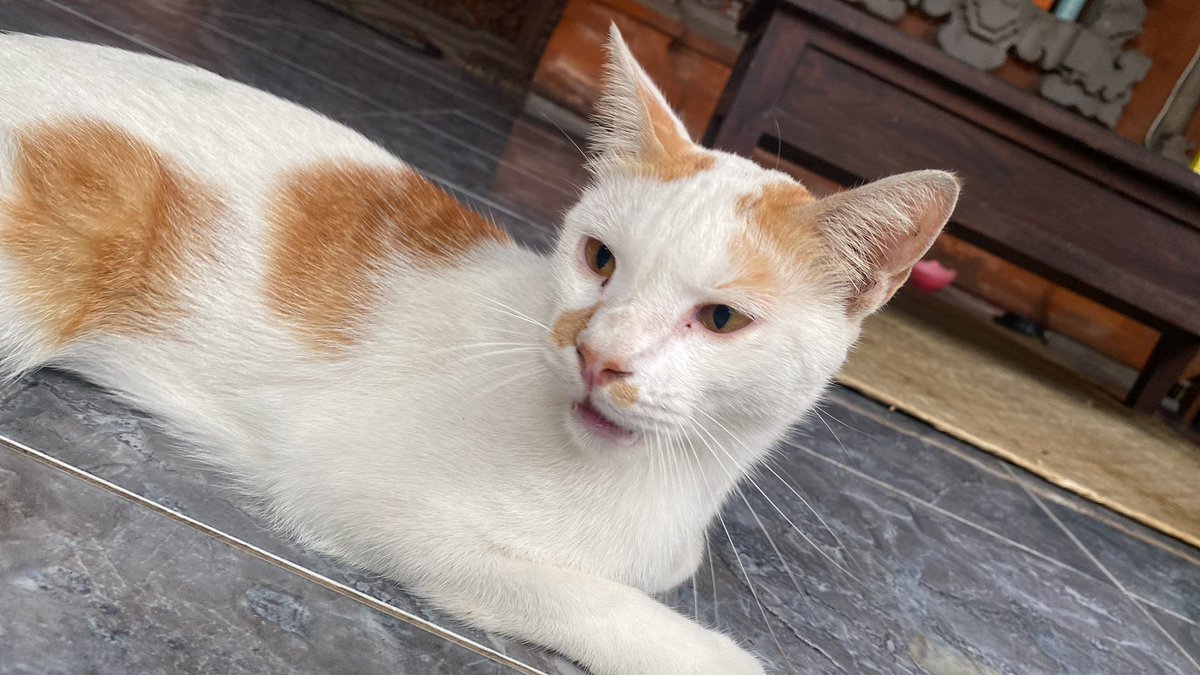 Sebuah kegiatan para meng