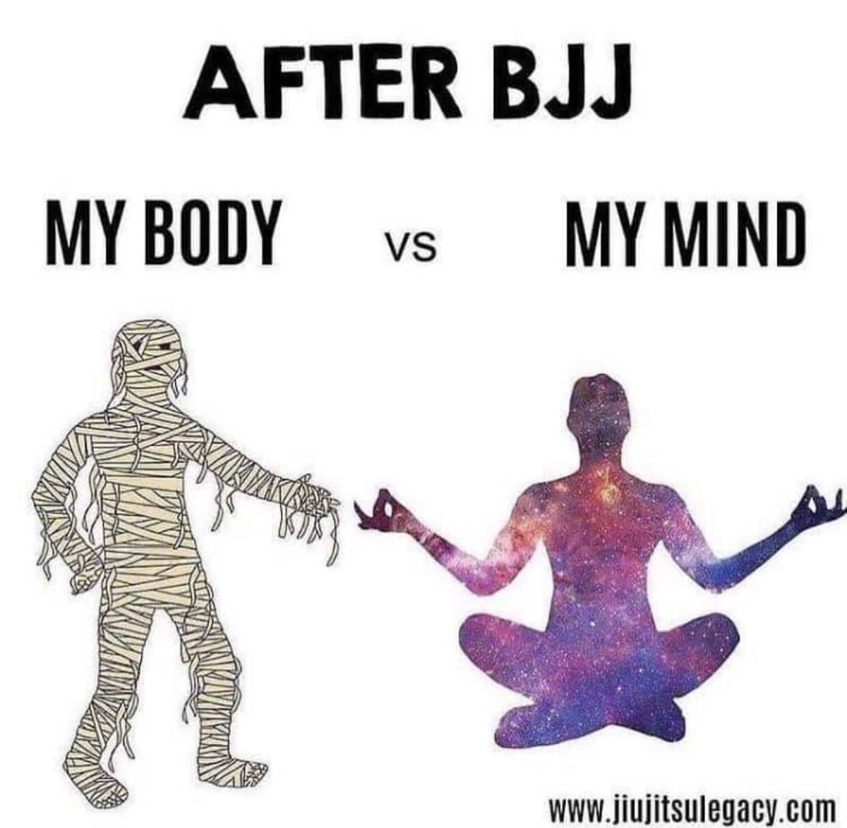 BJJotter (@jiujitsuotter) on Twitter photo 