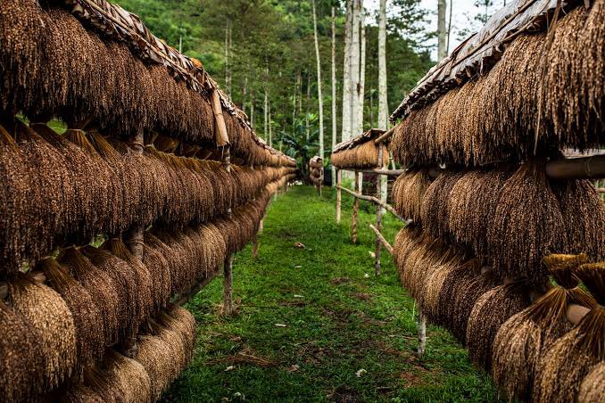 Silfinov's tweet image. DESA ADAT DI INDONESIA 
YANG MEMPUNYAI CADANGAN MAKANAN HINGGA 95 TAHUN KEDEPAN 😱

Desa ini berada di Sukabumi, Jawa Barat.