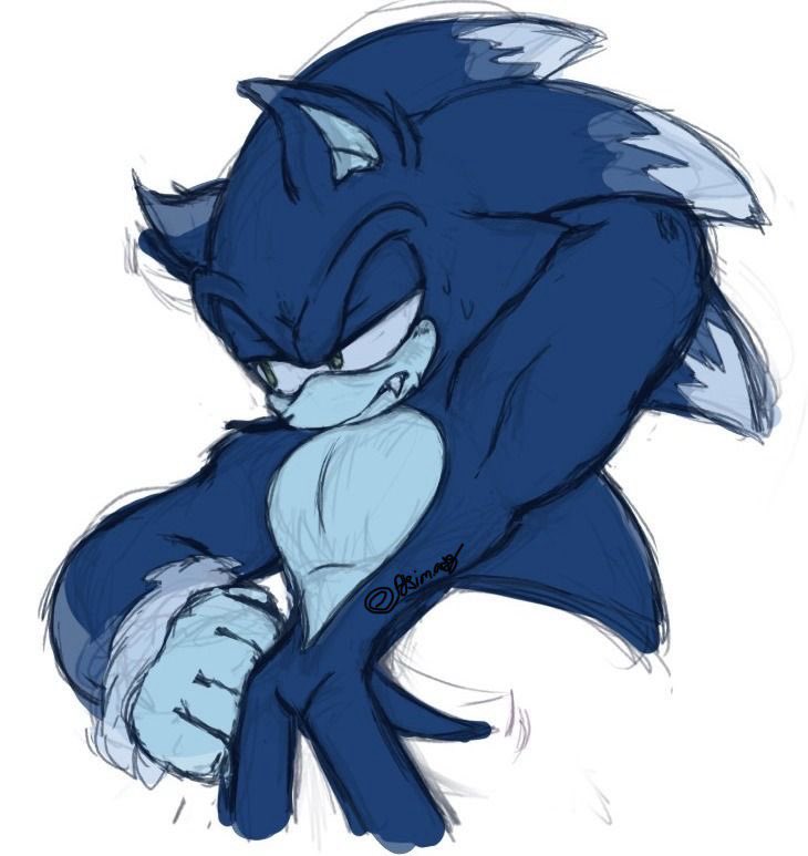 Sonic the werehog , made on sketchbook took hours to make