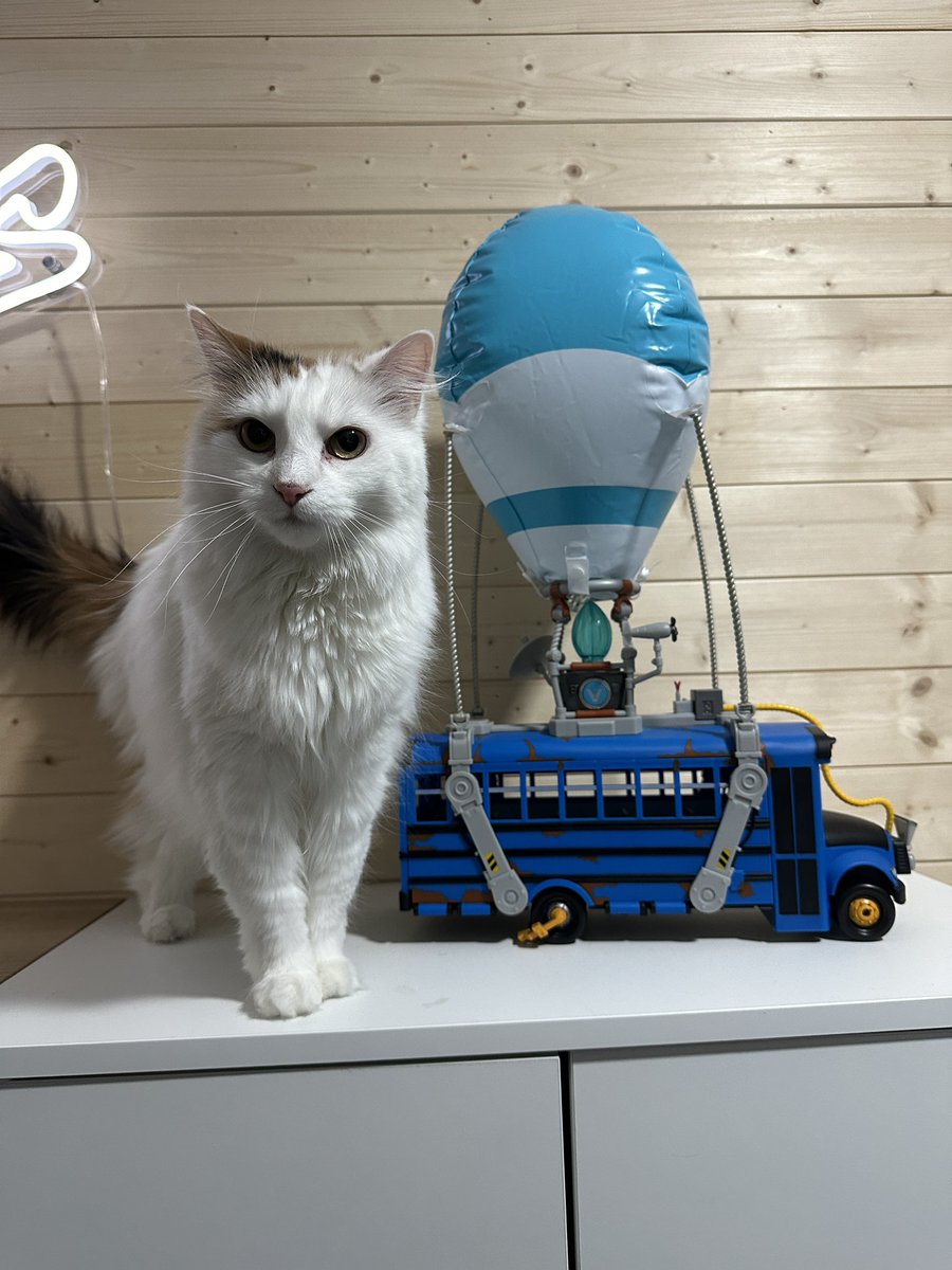 Where do you think bandit’s dropping this season?