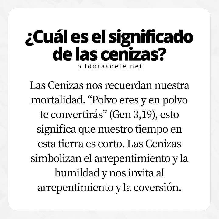 Pildorasdefe tweet media