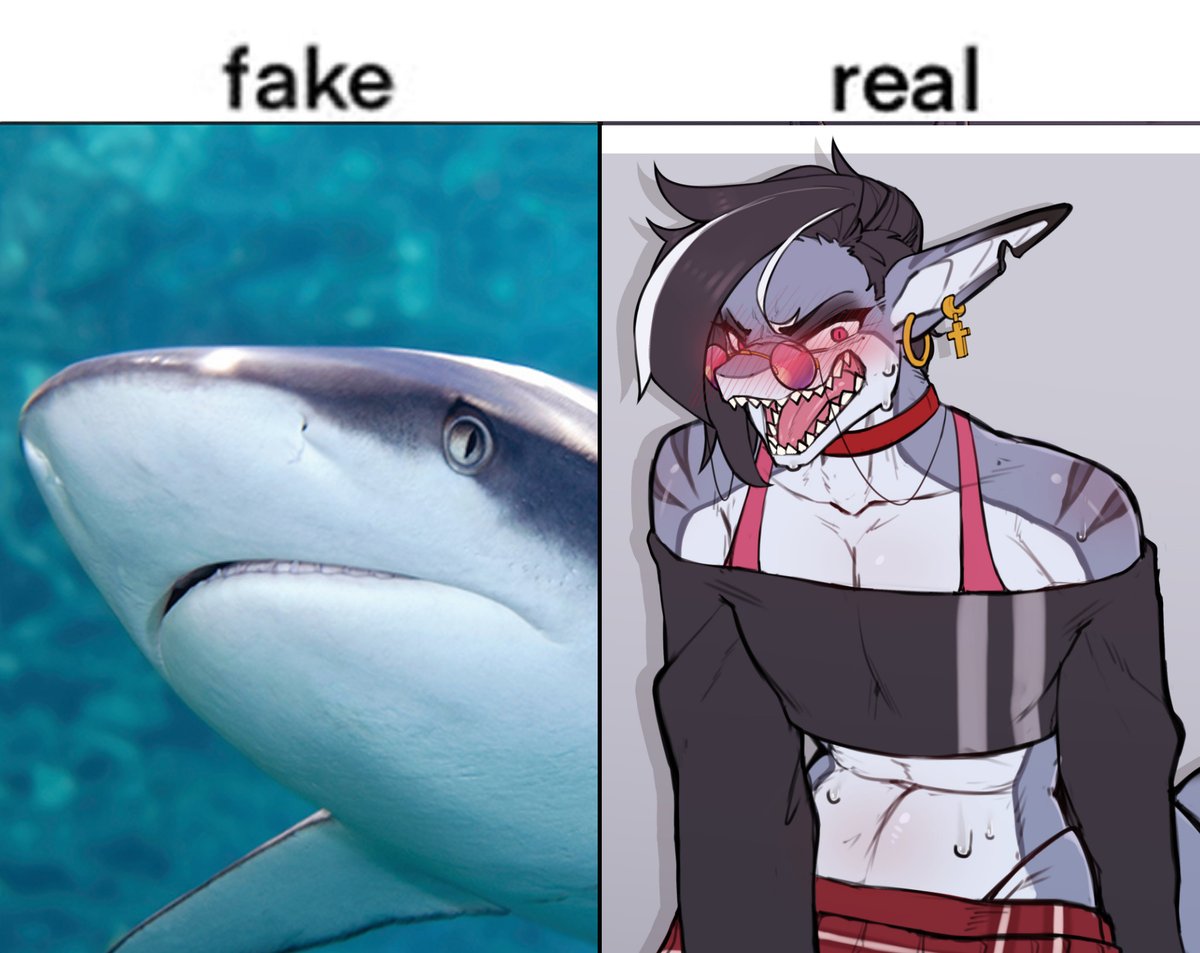 nekomimi58's tweet photo. Fake black fin shark vs Real black fin shark https://t.co/Gsu1YruHYC