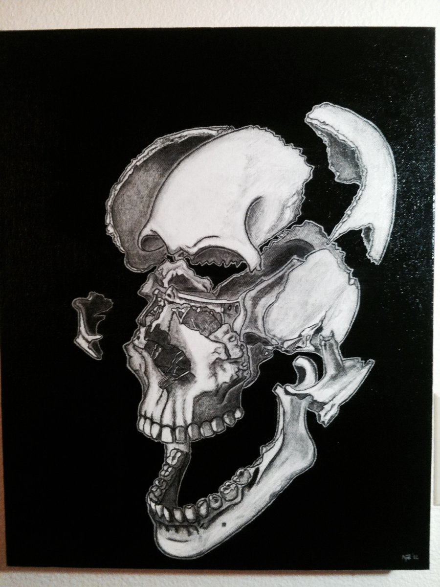 NZFStudio's tweet image. 