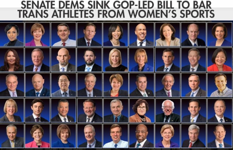 Primary every last one of them!