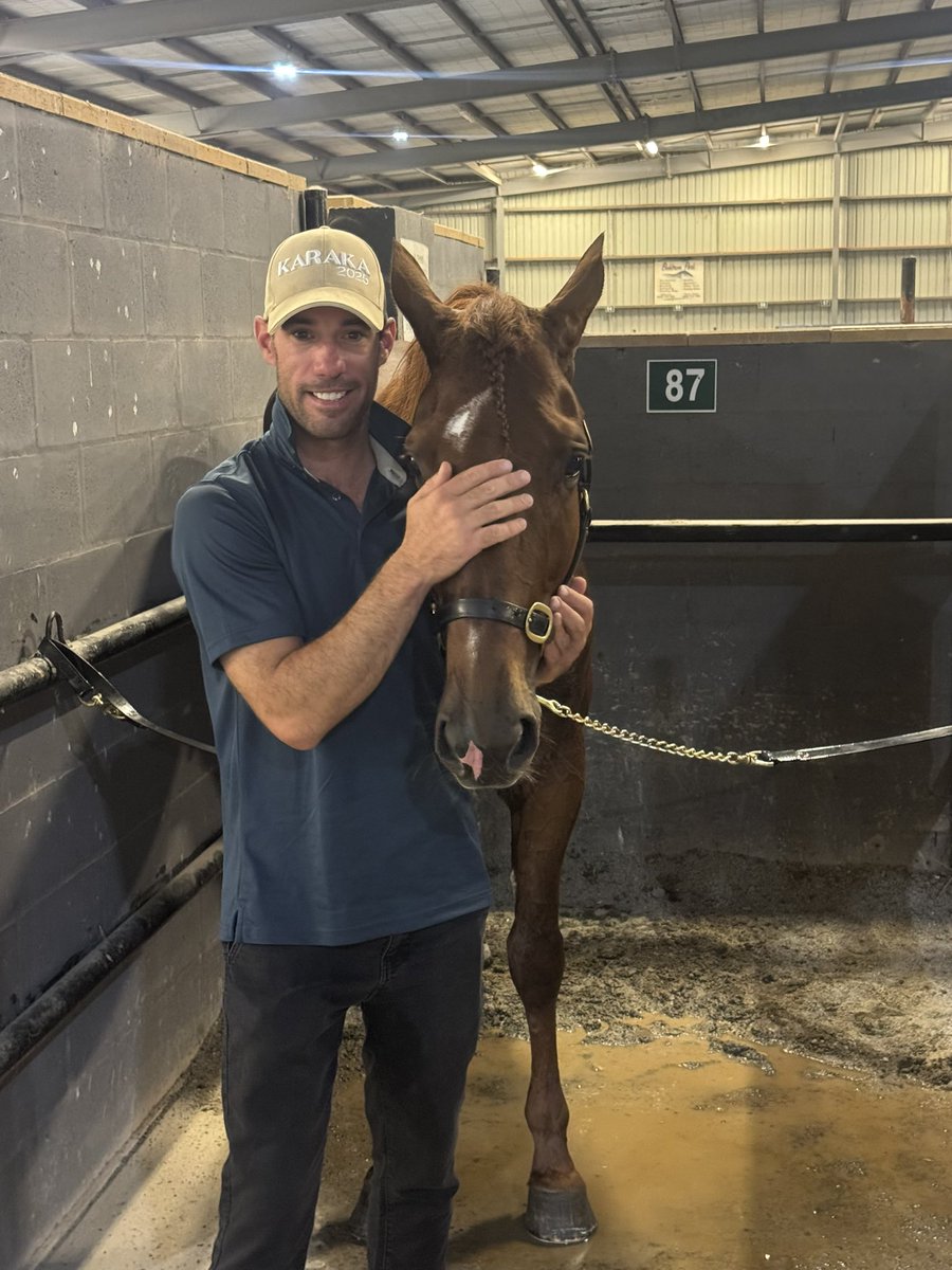A double for the team at Shepparton last night with RED KERMIT (Quaker Jet - Par Ici) &amp; FINAL PROMISE (Always B Miki - All Promises) both breaking their maiden status! 
#betavet #prepare
#blackhorsenaturals #gutalign