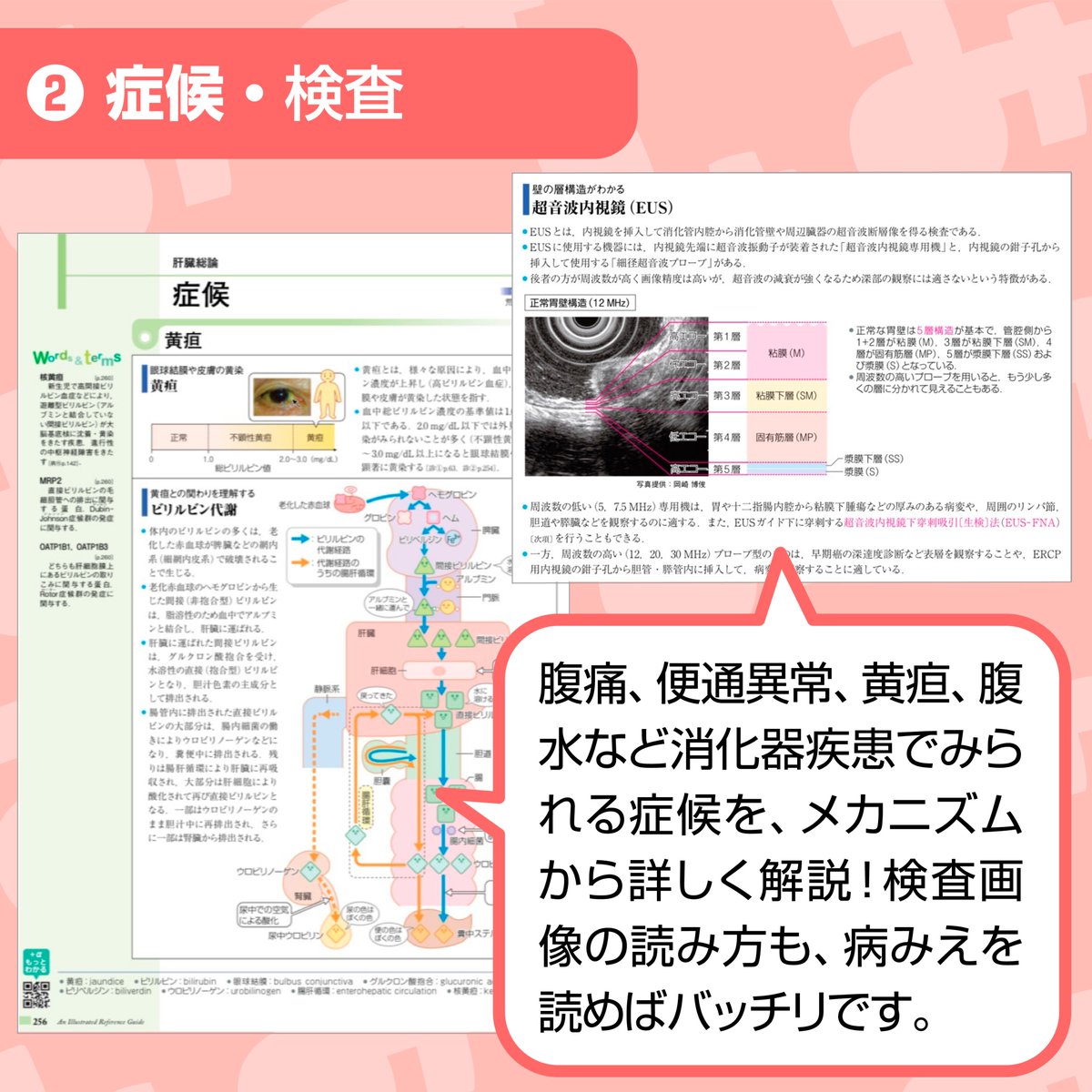 🎊病気がみえるvol.1 消化器（第7版）、本日発売🎊］ 今回は改めて「病