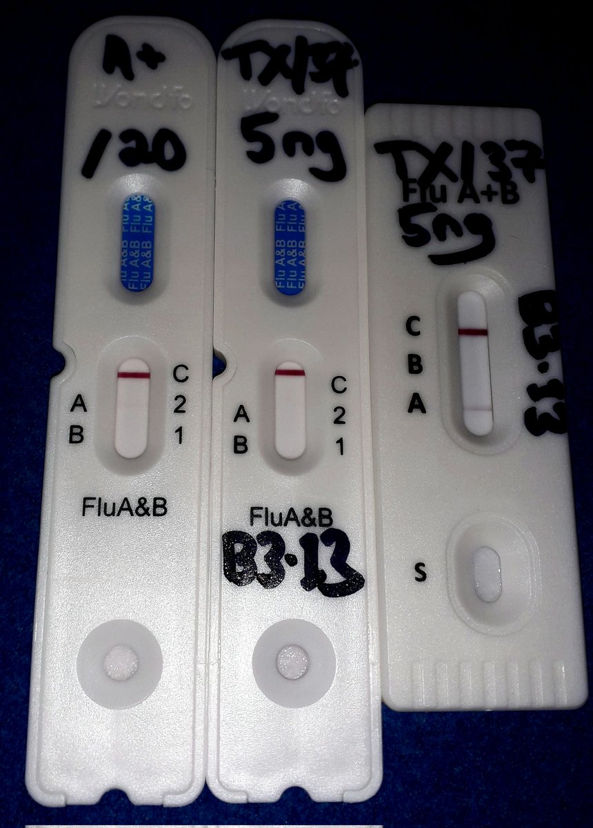 Was beginning to wonder if my concern about avian H5N1 (e.g
 B3.13) not necessarily being detectable on *every* [Seasonal] Flu-A RAT was just me being a little paranoid.

Apparently not...