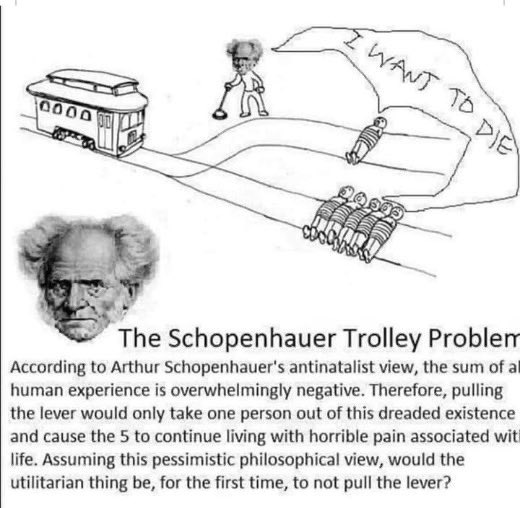 Surreal__Matrix's tweet image. #Schopenhauer #TrolleyProblem #Philosophy #Antinatalism #LifeisSuffering #StopHavingKids 

stophavingkids.org
