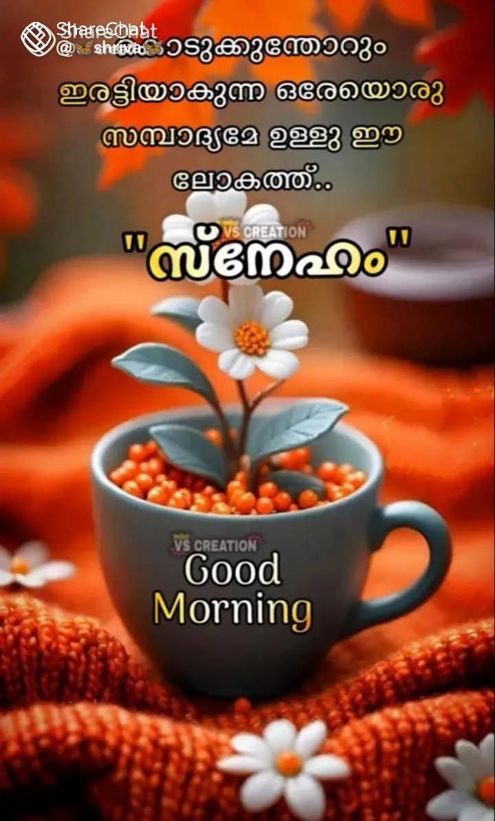 ശുഭദിനം 🌄🌄🌄