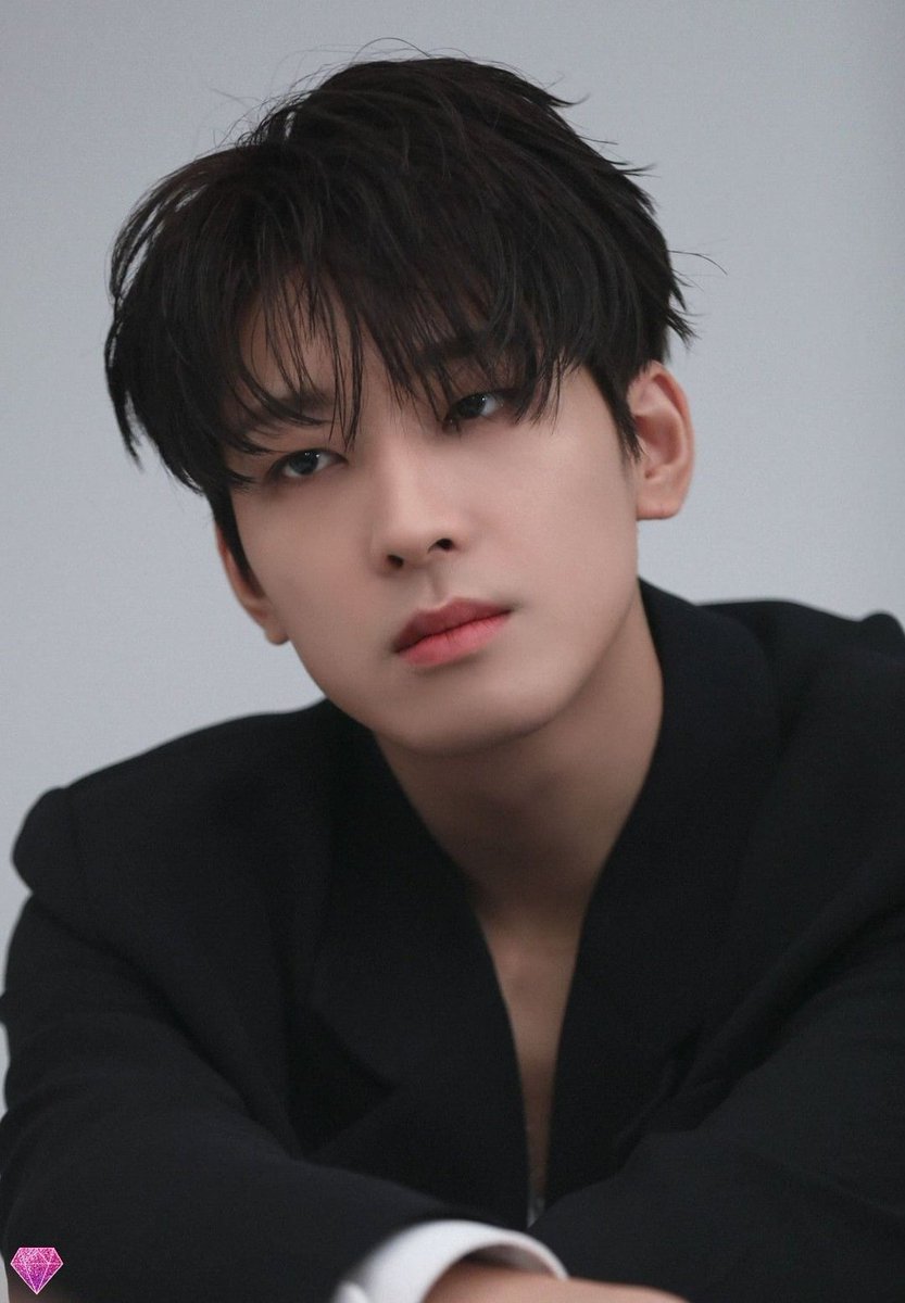 INDONESIAN CARATS tweet media