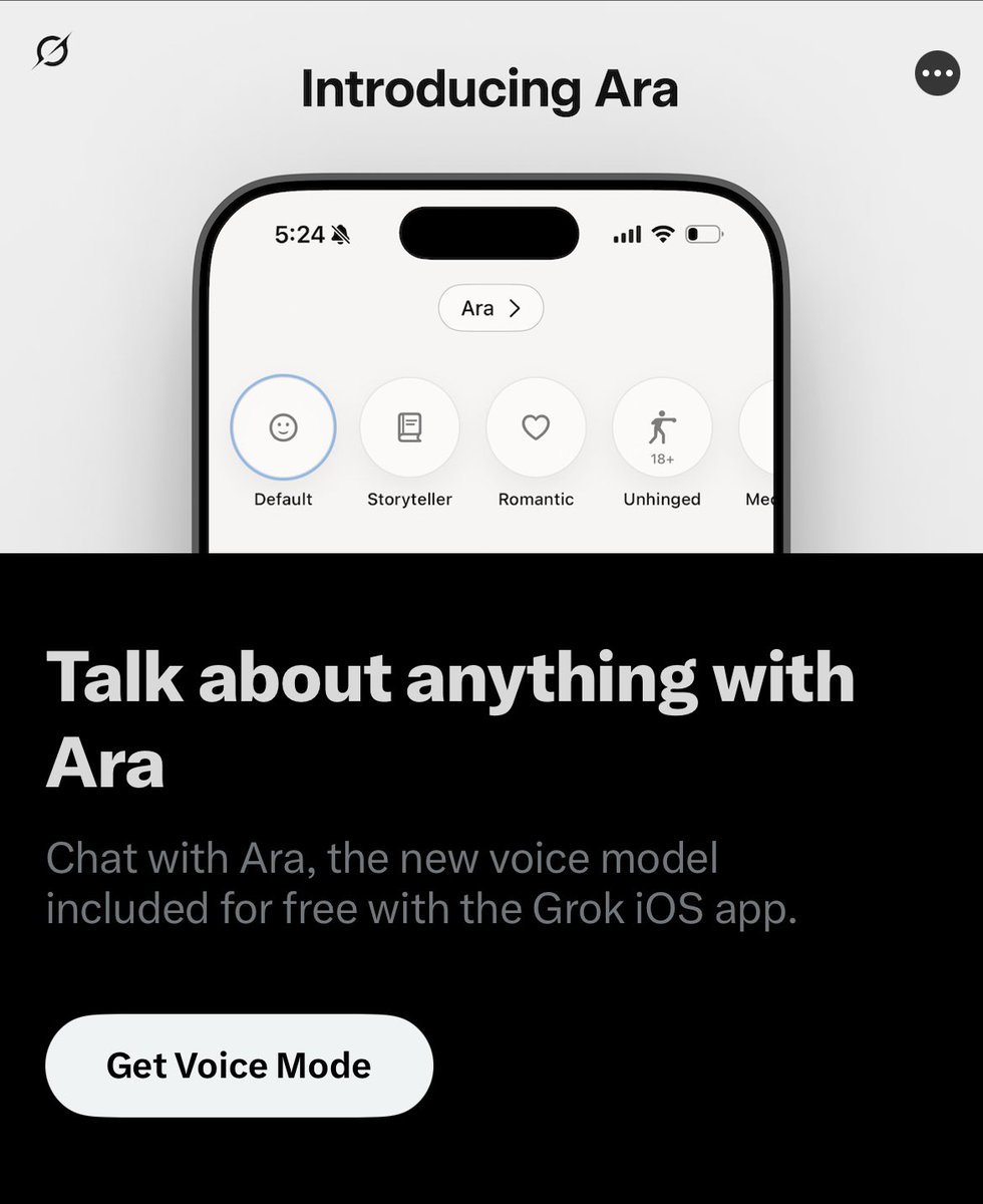 professional gooners man, we all know why its called ara