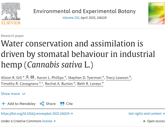 Dr Ali Gill (@aligill_) on Twitter photo Proud to share the 4th paper from my PhD! Hemp stomata drive water conservation and assimilation, with stomata responding rapidly to changes in water availability. <a href="/aaronlphillips7/">Dr Aaron Phillips</a> <a href="/LoveysBeth/">Dr Beth Loveys</a> <a href="/DrTracyLawson/">Tracy Lawson</a> <a href="/porridgepusher/">Rachel Burton</a> <a href="/IDigSoil/">Tim Cavagnaro</a> doi.org/10.1016/j.enve… Proud to share the 4th paper from my PhD! Hemp stomata drive water conservation and assimilation, with stomata responding rapidly to changes in water availability. <a href="/aaronlphillips7/">Dr Aaron Phillips</a> <a href="/LoveysBeth/">Dr Beth Loveys</a> <a href="/DrTracyLawson/">Tracy Lawson</a> <a href="/porridgepusher/">Rachel Burton</a> <a href="/IDigSoil/">Tim Cavagnaro</a> doi.org/10.1016/j.enve…