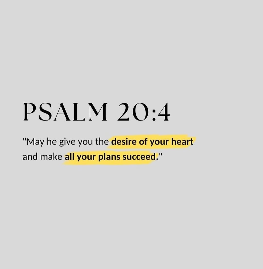 Holy Bible tweet media