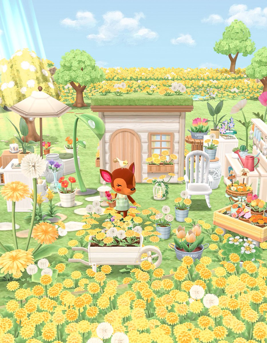 ドレミちゃんの小さなお花屋さん🪴⊹𓂃𓈒𓏸︎︎︎︎ 
 
                 今日はたんぽぽの鉢植えがおすすめです！

#ポケ森コンプリート
#ポケ森レイアウト