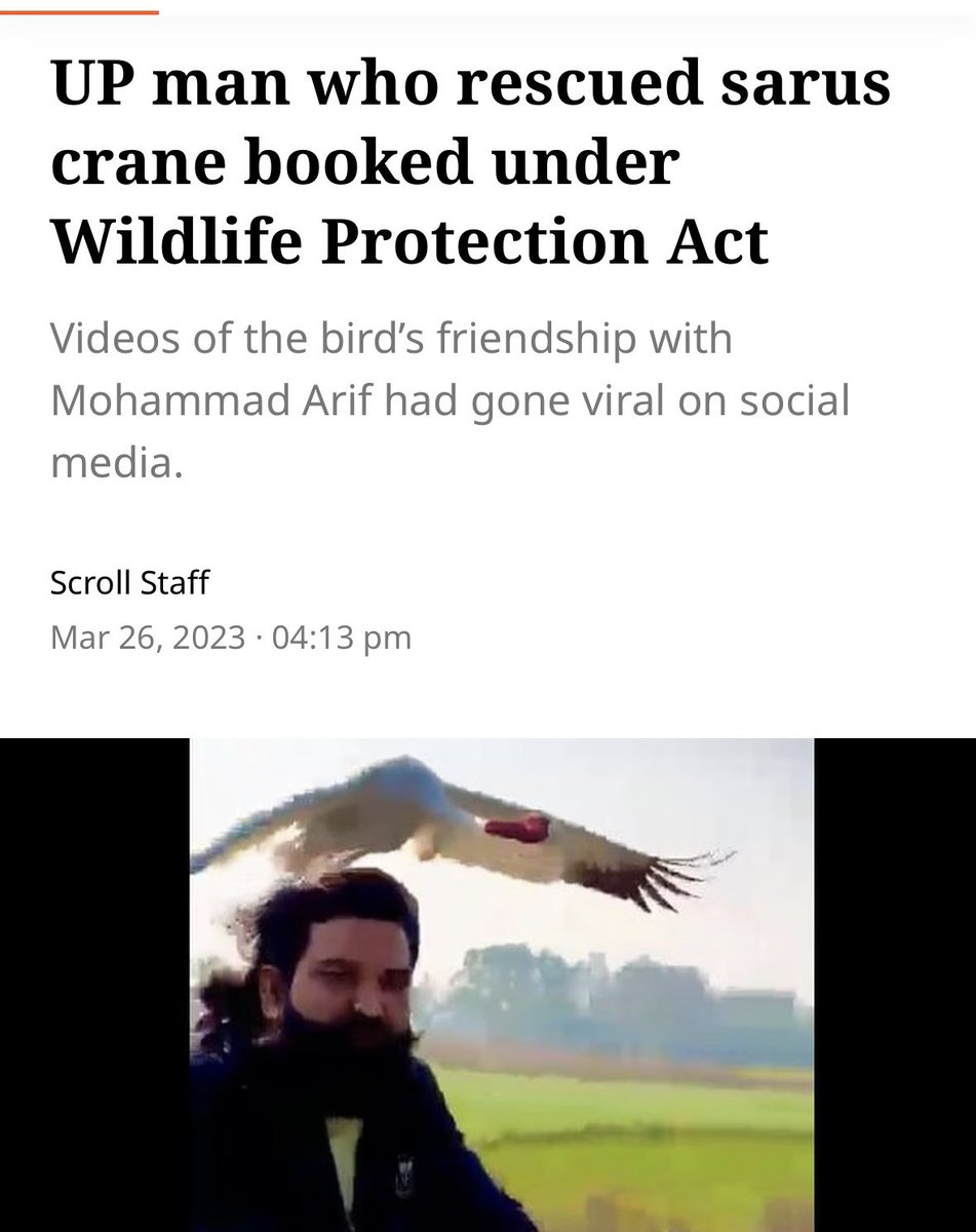 SirKazamJeevi's tweet image. Remember this case when a man was booked for looking after a saras crane!whole administration &amp;amp; media swung in to action!

A billionaire’s son running a private zoo with large number of exotic animals. Let alone scrutiny, the PM making is reels &amp;amp; endorsing the establishment!😔