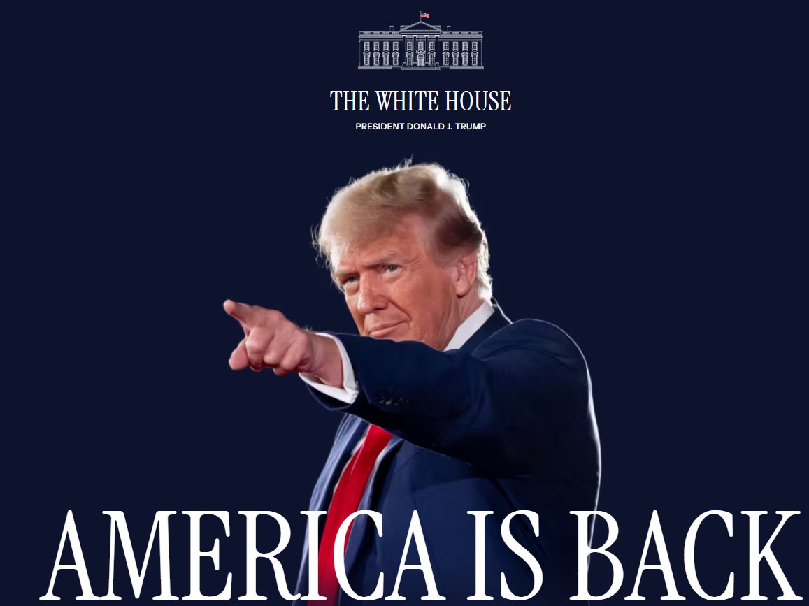 ToddMarks tweet media