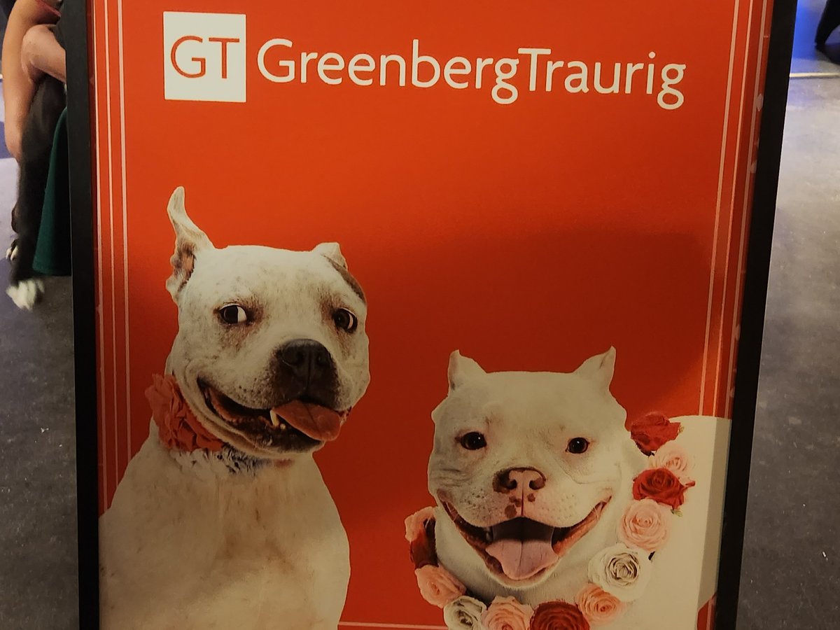 #GTDallas sponsored The Love Pit's 9th Annual Cupit Casino Night, a fundraising event dedicated to making a difference for pitbulls and bully breeds across Texas. 💗🐶 The Love Pit rescues, rehabilitates &amp; advocates for these dogs, while also promoting responsible pet ownership.