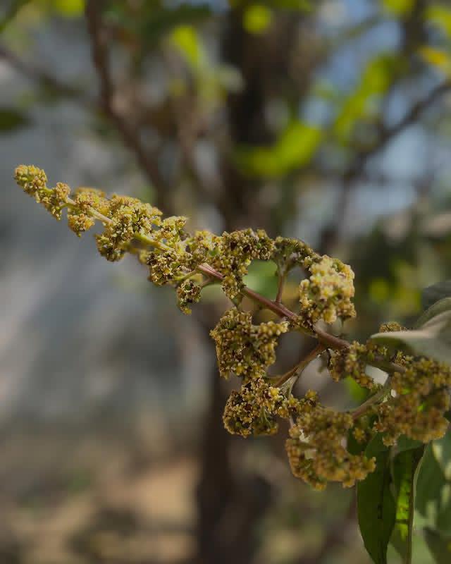 be_khyali_'s tweet image. गांव ❤️‍🩹🏡#village #villagegirl #VillageVibes #villageclubdusoleil #villagelife 
#ChampionsTrophy2025
.
.
.
#INDvsAUS #Grace_Of_God