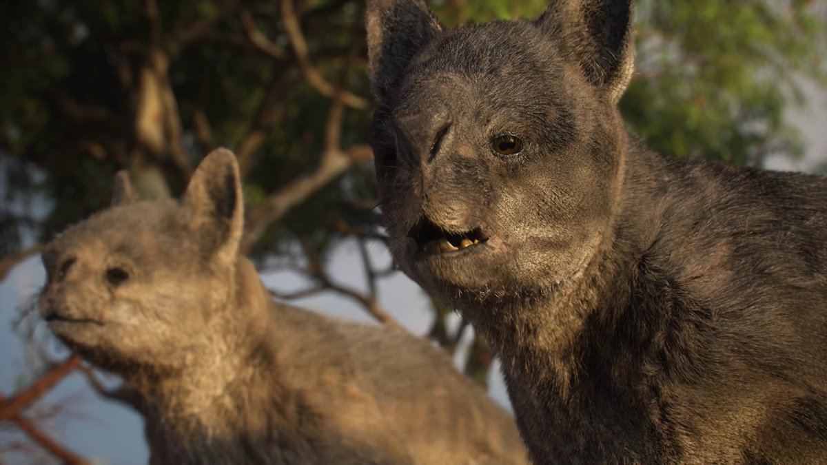 raftingzalmoxes's tweet photo. New synopsis for #EvolutionWithChrisPackham (2026):
'Chris Packham will tell the story of Evolution, exploring the mind-boggling ways in which nature’s greatest force has created and shaped the only known life in the universe into endless forms most beautiful.' https://t.co/7c4HXZhKSn