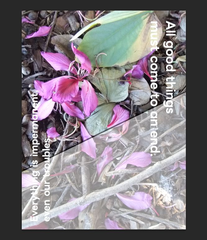 hisui_web1711's tweet image. 今日は #忍者CODE のWeb制作＆デザインコースで、STEP6「【課題/実務編】オリジナルアートポスターを作成してみよう」を作成中👩‍🎨

下半分の白く透かしているところを、ピンクの花びらを残しつつモノクロにする予定（自分にできるのか❔）

#ヒスイのWebデザイン学習メモ
#Web制作 #Webデザイン