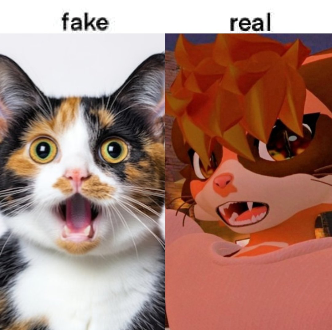 FAKE VS REAL