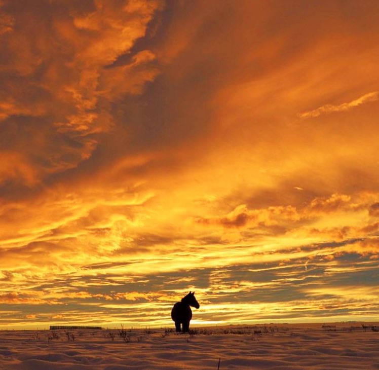 “The soul becomes dyed with the colour of its thoughts.”
Marcus Aurelius