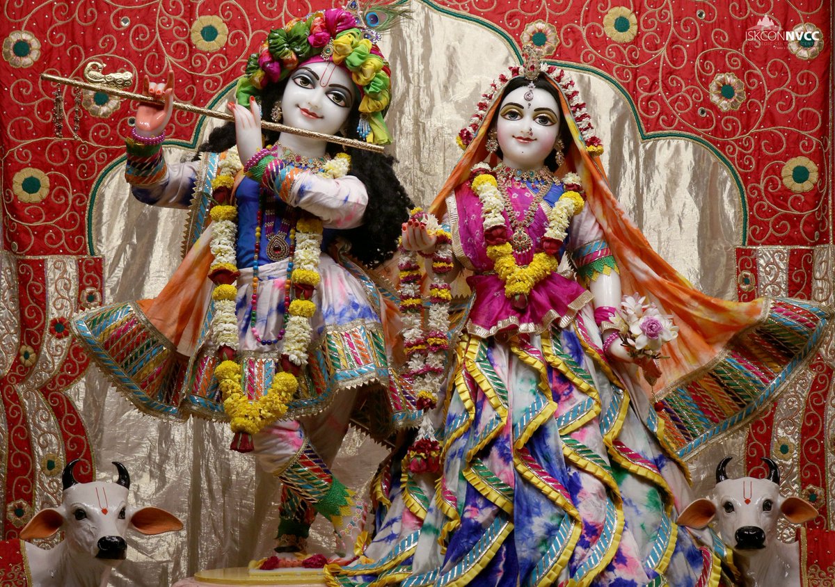 ISKCONPune's tweet photo. 🌷Mangal Arati Darshan🌷🗓05/03/2025🙏🚩@ISKCONNVCCPune🚩
.
.
#ISKCONNVCC #ISKCONPune #ISKCONNVCCPune #ISKCON
#5thmarch #5thmarch2025 #Wednesday
#Harinaamsankirtan #Radheshyamdas #Radheradhe
#Sankirtan #Kirtan #Vrindavan #Mayapur #Prabhupada
#GVE #GovardhanEcoVillage #Radha https://t.co/tbEpkrEvWG