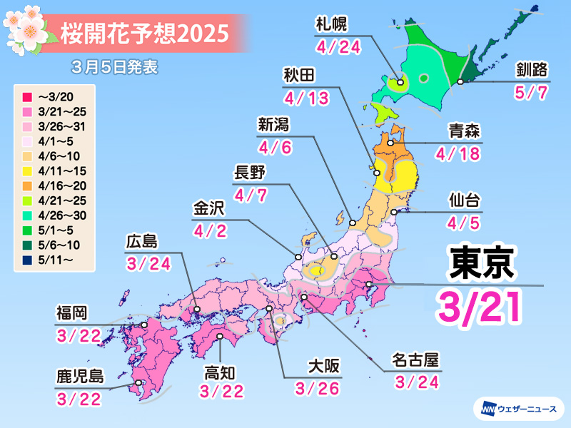 wni_jp's tweet photo. 🌸桜開花予想2025📷🆕
ウェザーニュースは今日3月5日(水)、2025年の第五回桜開花予想を発表。 ソメイヨシノの開花一番乗りは3月21日(金)の東京と宮崎で、22日(土)に鹿児島や福岡、高知、横浜が続きます。
西日本や東日本では開花から1週間程度で満開を迎える見込みです。
https://t.co/DDqtHqD7wy https://t.co/VqGYDJspTv