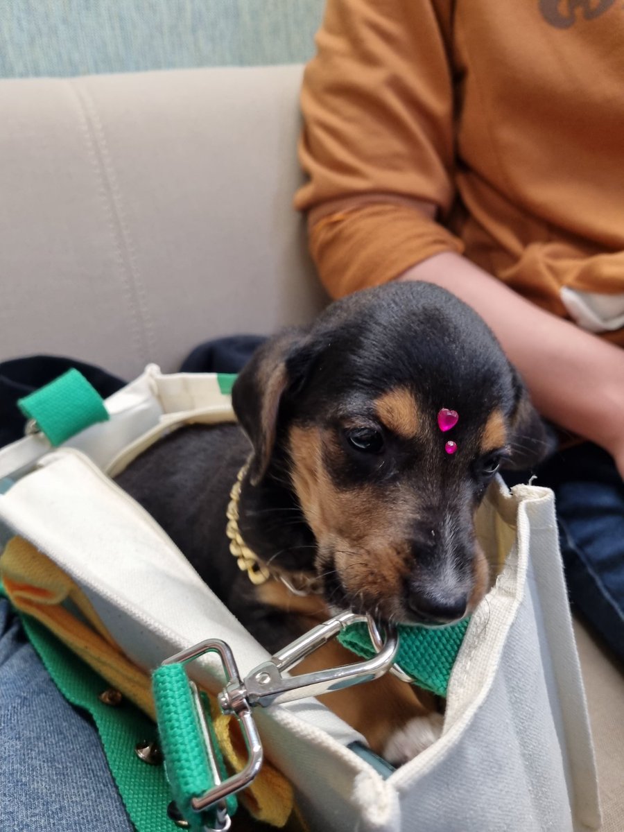 Val™ lvs vegetta777 🌷 tweet media