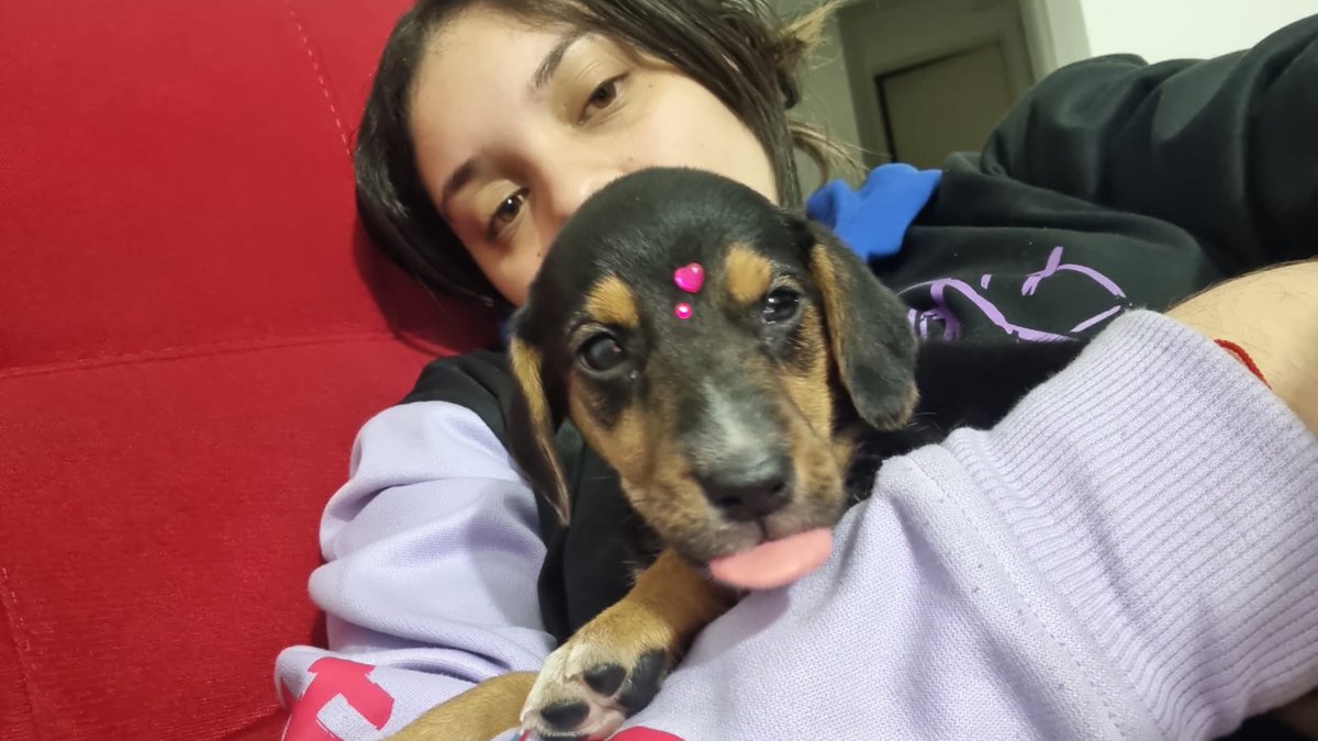 Val™ lvs vegetta777 🌷 tweet media