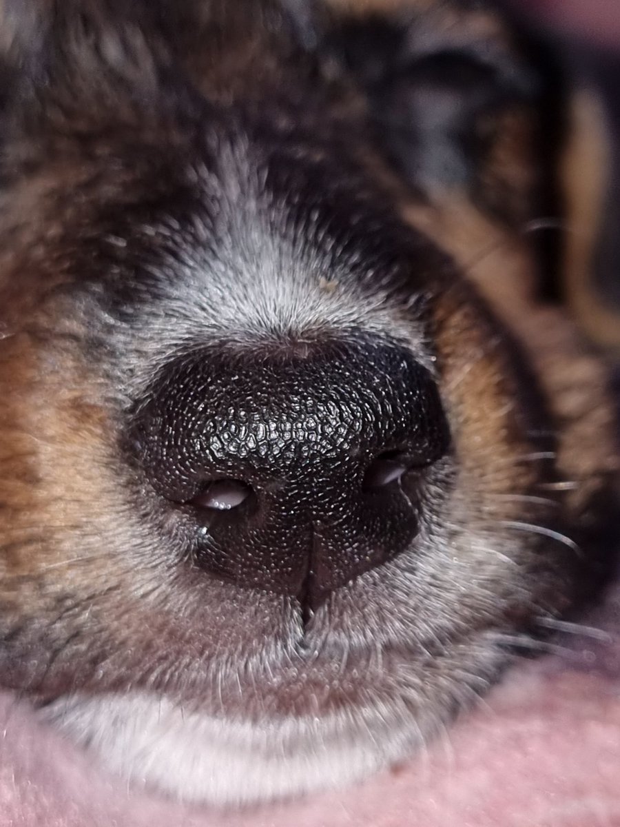 Val™ lvs vegetta777 🌷 tweet media