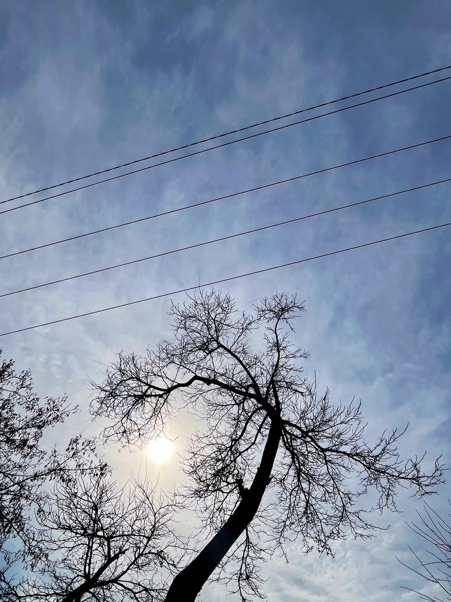 #ShotOniPhone #StreetPhotography 
#AbstractArt #Winter #Life #Nature
