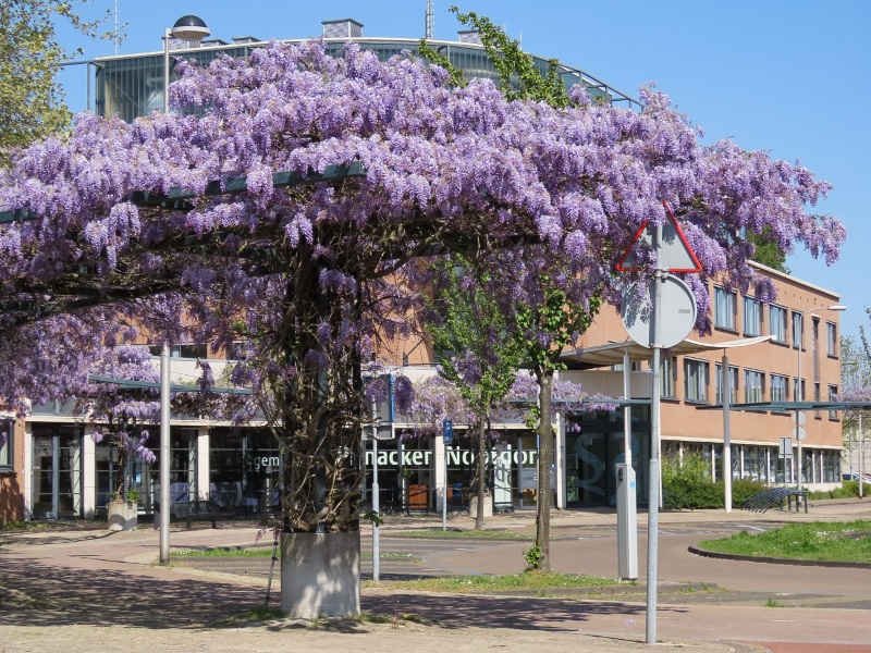 We gebruiken X alleen bij crisissituaties. Heb je vragen of wil je iets melden? Neem dan contact met ons op via pijnacker-nootdorp.nl/contact/