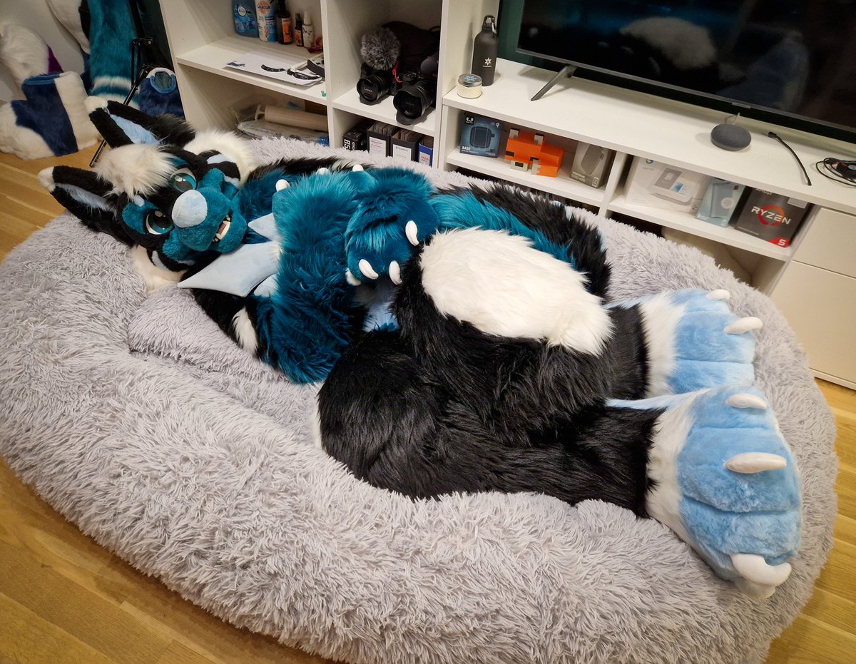Good Wagons belong in the Dog Bed 😇