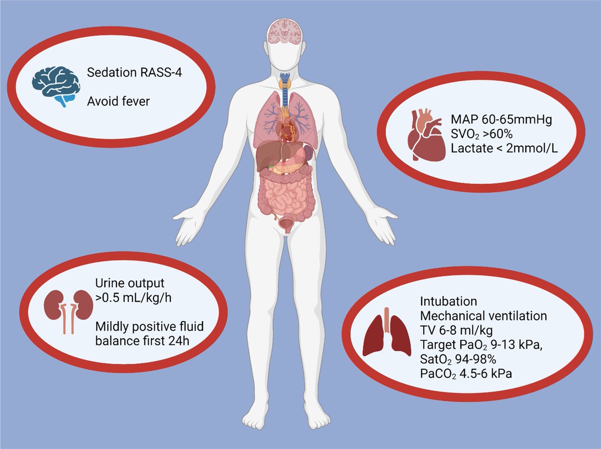Today's Paper of the Day is:

Haemodynamic, oxygenation, and ventilation targets after cardiac arrest

criticalcarereviews.com/latest-evidenc…

Join us to read 1 paper per day and stay up-to-date as we cover the spectrum of critical care across 2025