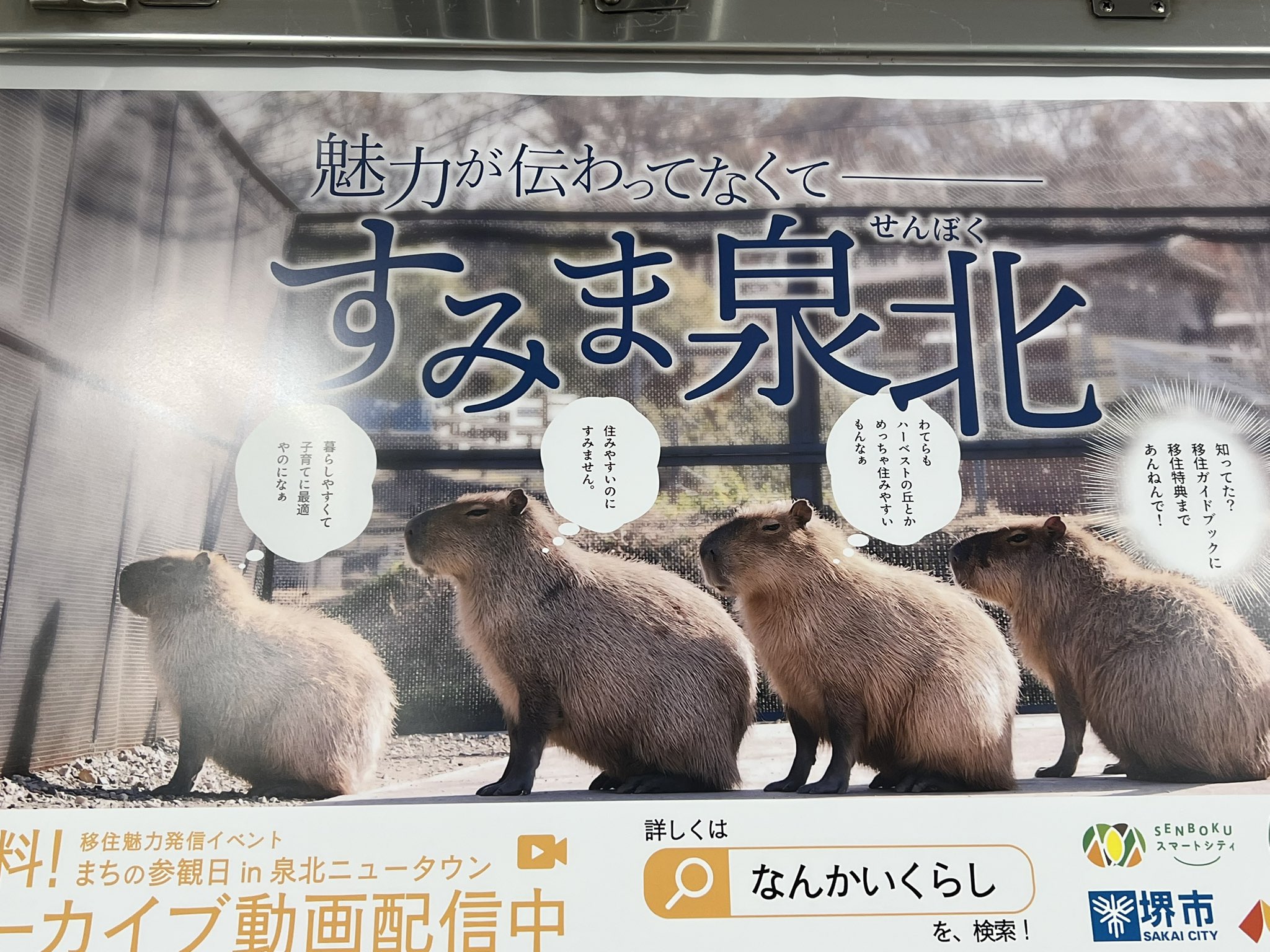 堺市＜南＞ 泉北方面 ２００３１１/ゼンリン（単行本） 堺市＜南＞ 泉北方面 200311/ゼンリン（単行本）
