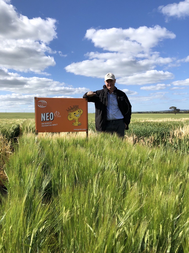 InterGrain (@intergrain1) on Twitter photo Neo CL has been accredited as a malting barley variety by <a href="/GrainsAustralia/">Grains Australia</a> 🍻
Neo CL offers excellent yield potential, disease resistance & malt quality, making it a game-changer for the med-high rainfall zones. Cheers to new brewing opportunities! bit.ly/neo-makes-malt Neo CL has been accredited as a malting barley variety by <a href="/GrainsAustralia/">Grains Australia</a> 🍻
Neo CL offers excellent yield potential, disease resistance & malt quality, making it a game-changer for the med-high rainfall zones. Cheers to new brewing opportunities! bit.ly/neo-makes-malt