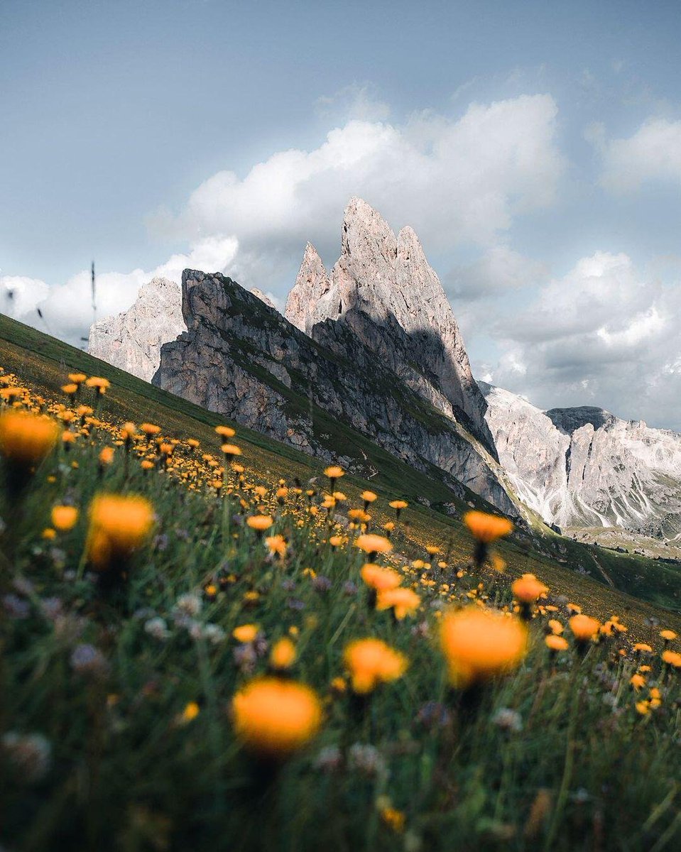 Use a smile to vent sadness, use silence to decorate pain, even if it is pretending, pretend to be the happy one. If you are not strong on the road of life, no one will be brave for you!