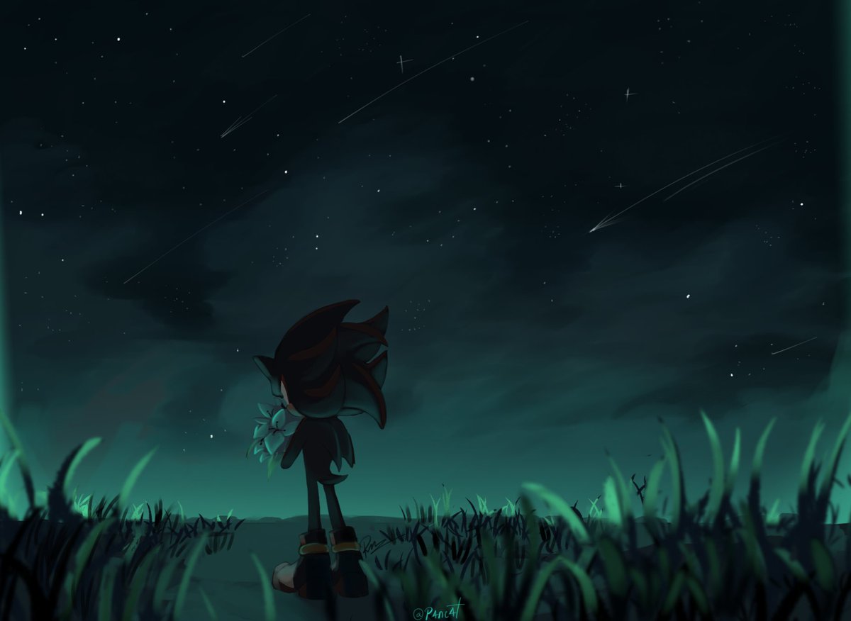 P4nc4t's tweet image. Help I forgot how to render....
#ShadowTheHedgehog #shadowfanart