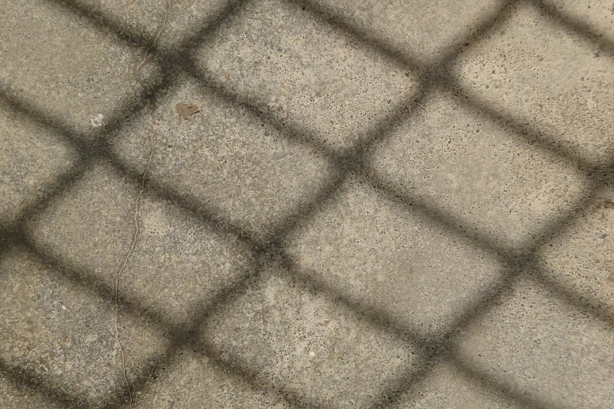 Apollo🇹🇼 tweet media