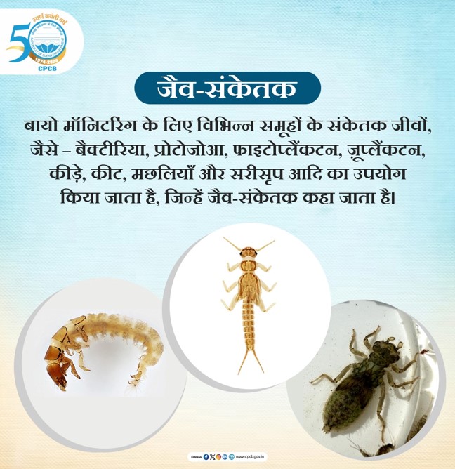 CPCB_OFFICIAL's tweet photo. जल निकायों जैसे प्राकृतिक पारिस्थितिकी तंत्र की जांच के लिए जीवित जीवों की सूची को जैव-संकेतक के रूप में उपयोग किया जा सकता है।
#BioMonitoring #BioIndicator #Biodiversity #WaterQuality
@byadavbjp @KVSinghMPGonda @moefcc @mygovindia @PIB_India https://t.co/TXhq6nHGsS