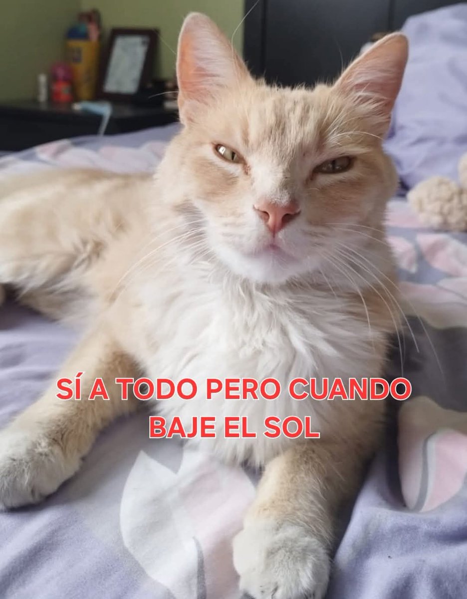 En Júpiter (@en_jupiter_) on Twitter photo 