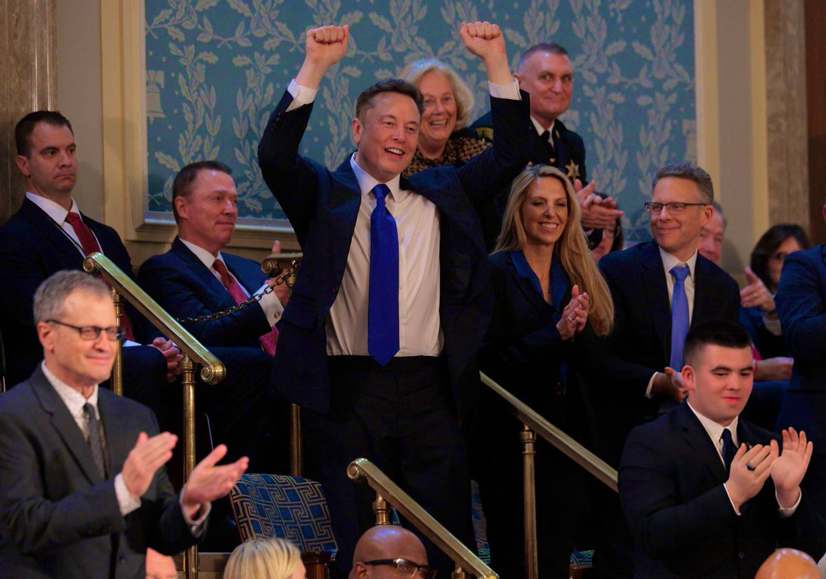 DogeDesigner tweet media