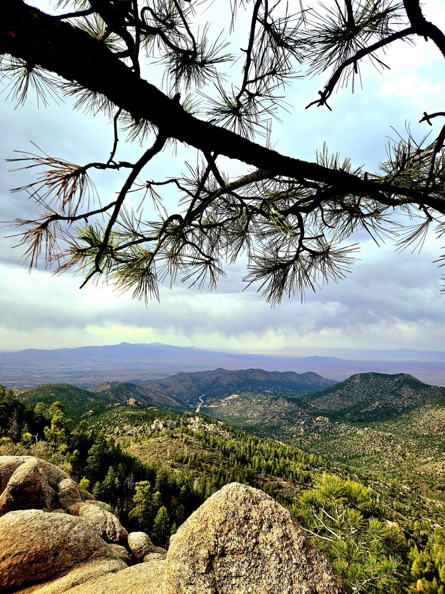 alexander harper (@alexanderh41691) on Twitter photo 