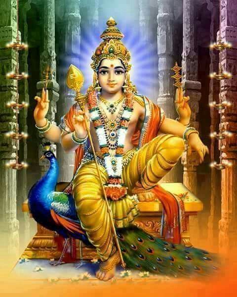 The image depicts a vibrant and detailed illustration of Lord Kartikeya, a Hindu deity, seated on a throne with a peacock beside him. The setting appears to be a temple or a divine space, indicated by the ornate pillars and lamps in the background. Lord Kartikeya is adorned with traditional attire and jewelry, symbolizing his divine status. The post's text mentions the Shashti tithi and Moon in Krittika Nakshatra, which are astrological references, suggesting that this image is used to highlight the auspiciousness of the time for worship and reflection. The context provided by the post emphasizes the creative energy and focus on progress, aligning with the worship of Lord Kartikeya or Ganeshji.