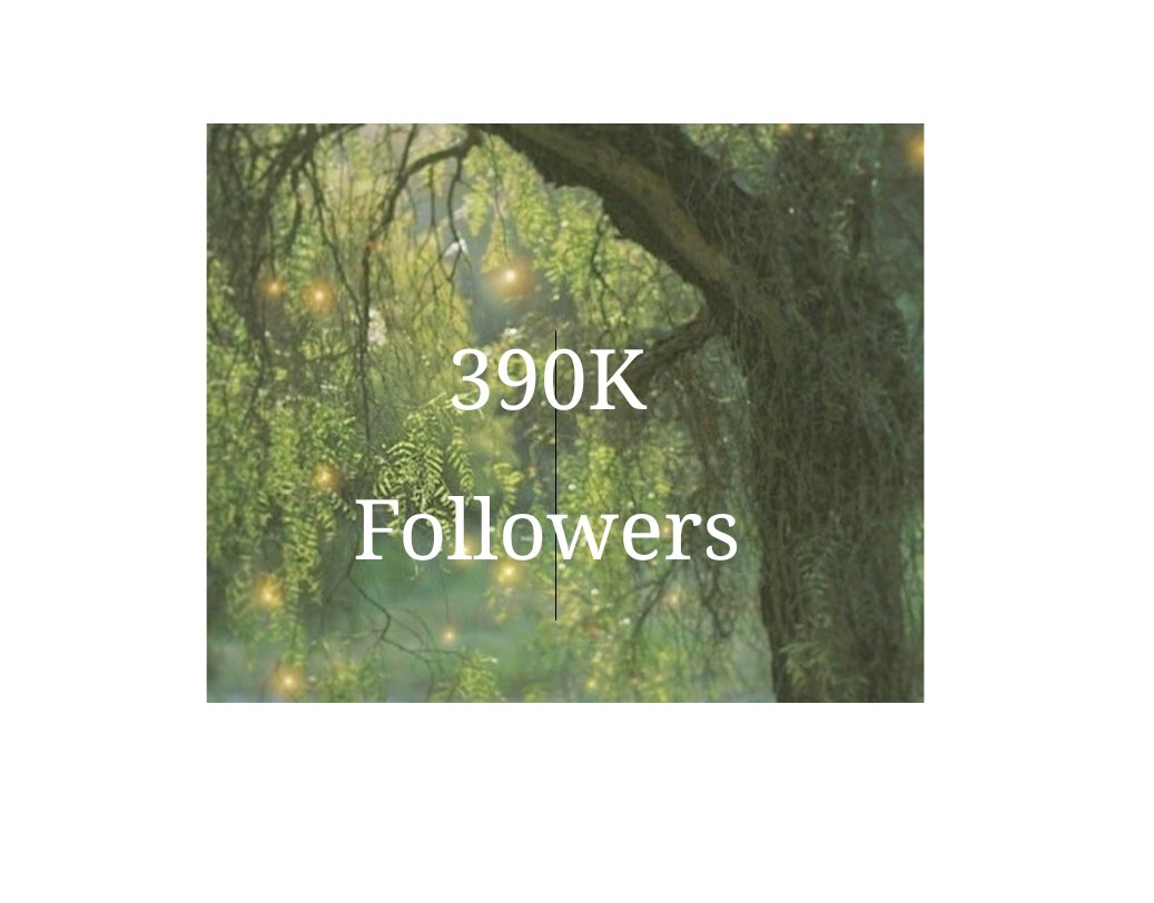 _levackerman's tweet image. happy 390k followers gandaaa!! @juliennemariii