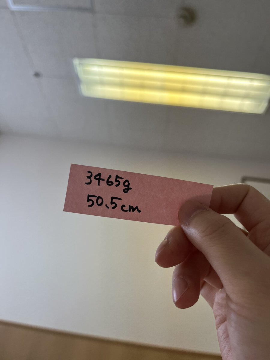 NEKODETH tweet media